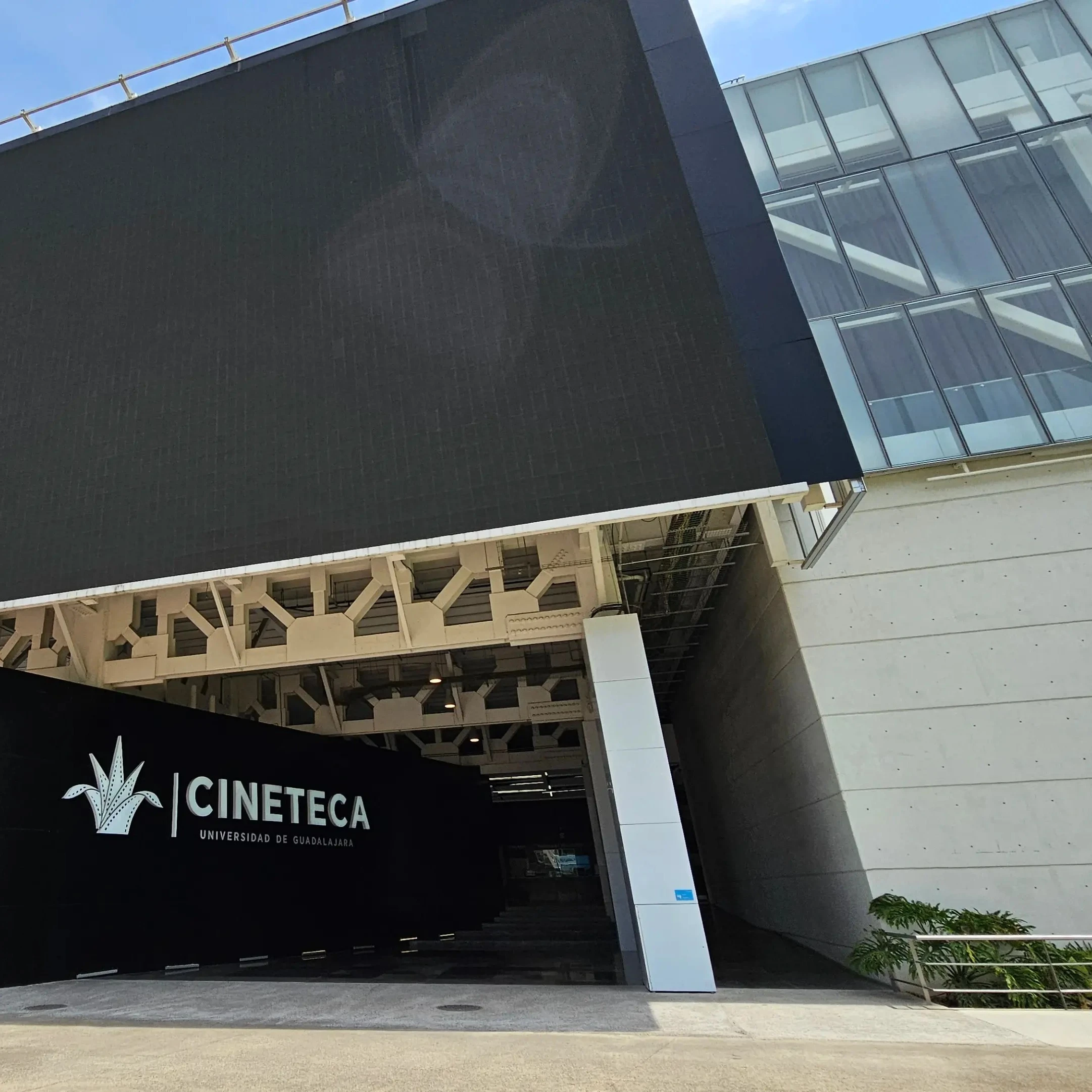 Cineteca